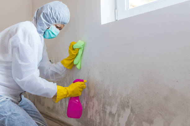 Mold Remediation for Vacation Homes in Liberty, UT